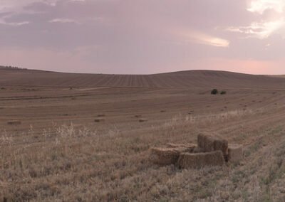 Fotografía panorámica de un paisaje segado en la comarca de la Serena, Badajoz