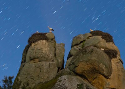 Fotografía nocturna con rastros de estrellas en el paraje natural de los Barruecos, bolos llamados las peñas del tesoro con nidos de cigüeñas y cigüeñas en ellos