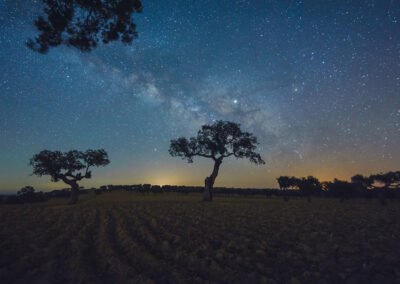 Fotografía nocturna con la vía láctea y varias encinas en un terreno labrado en Extremadura