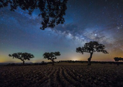 Fotografía nocturna con la vía láctea y varias encinas en un terreno labrado en Extremadura