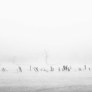 La mística del Río Guadiana bajo una densa niebla