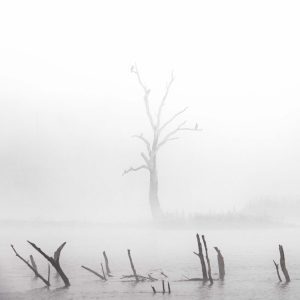 La mística del Río Guadiana bajo una densa niebla