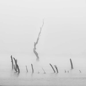 La mística del Río Guadiana bajo una densa niebla