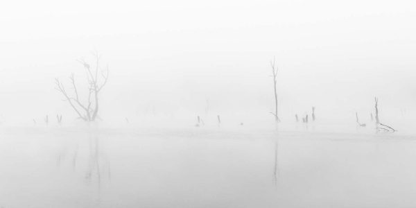 La mística del Río Guadiana bajo una densa niebla