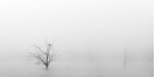 La mística del Río Guadiana bajo una densa niebla