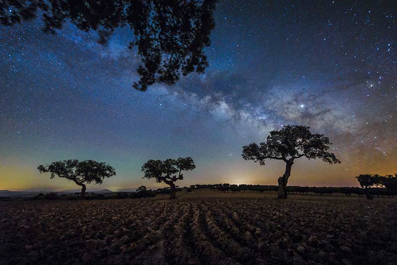 Fotografía Nocturna