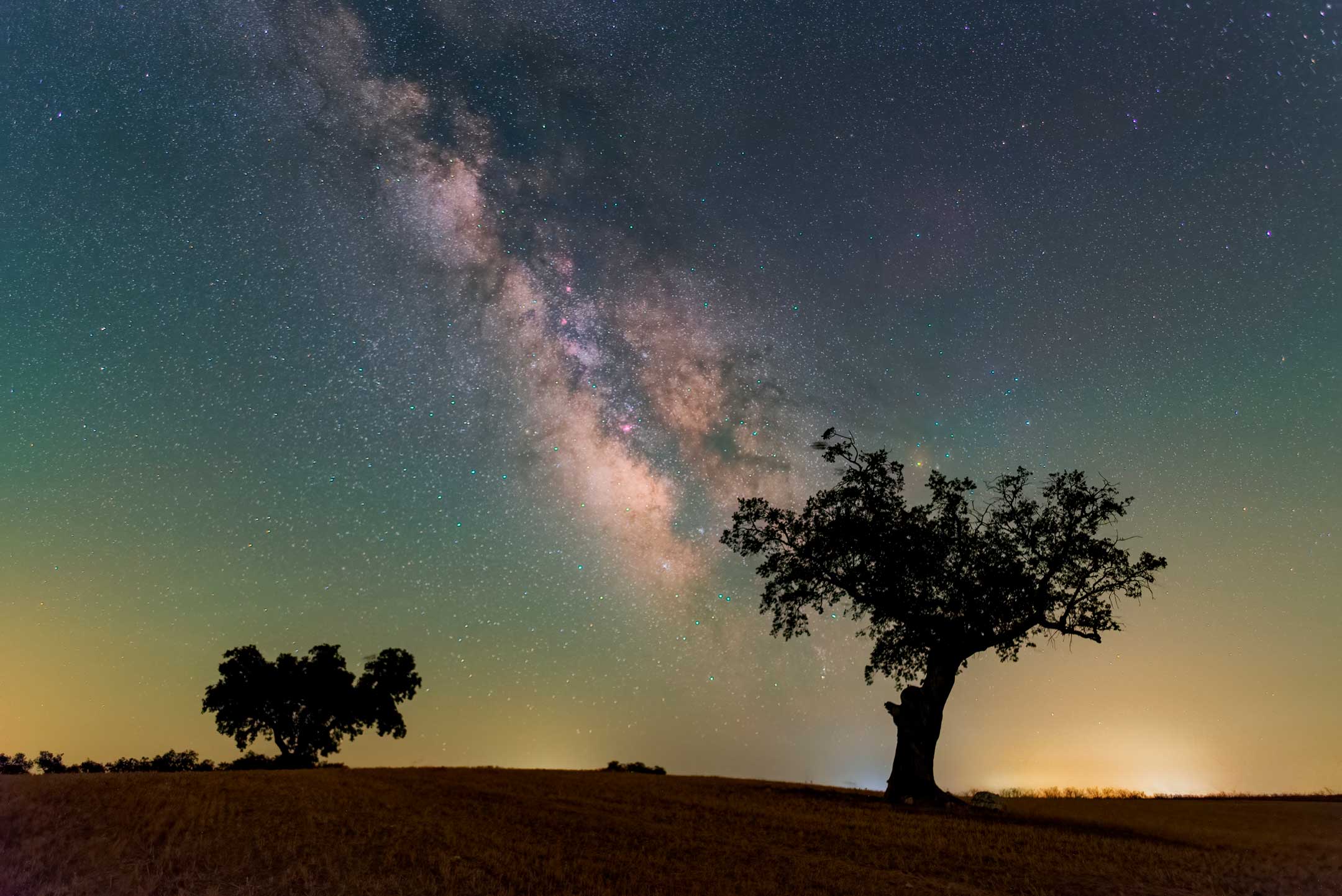 Fotografía nocturna en la dehesa Extremeña